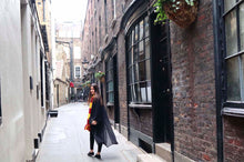 Load image into Gallery viewer, Harry Potter Tour