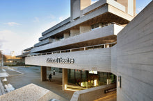 Load image into Gallery viewer, Brutalist Tour