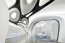 Load image into Gallery viewer, Contemporary Architecture Tour