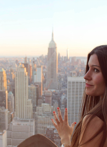 New York Architecture Guide